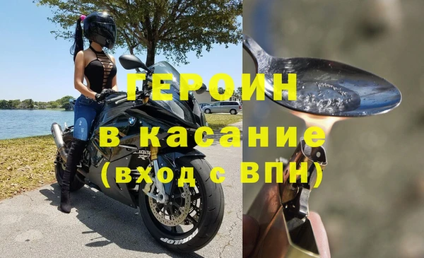 прущие грибы Верхний Тагил